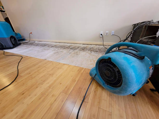 Professional Water Damage Repair technician working in Saunderstown, RI